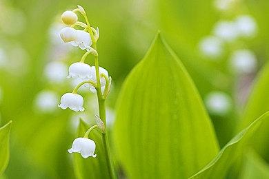 高能电玩节：《鬼哭岭：夏夜轮回》最新预告公布